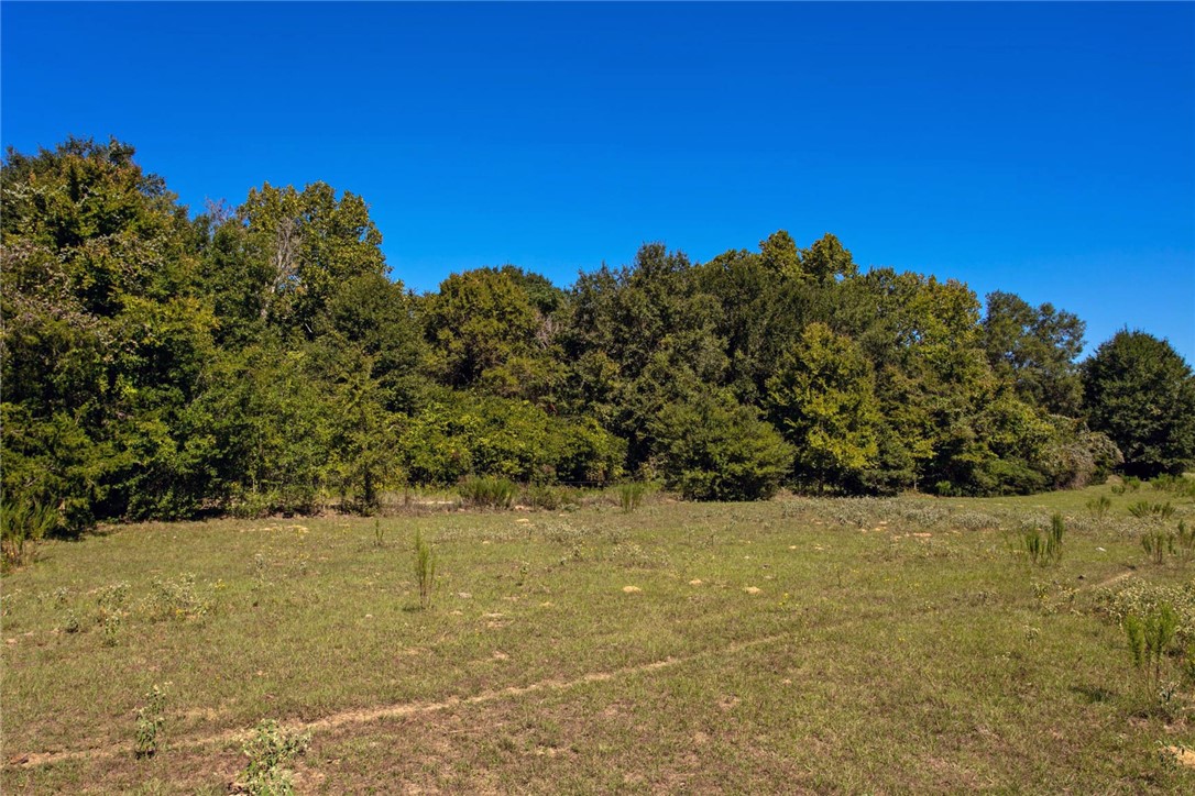 11041 Jackrabbit Lane Bryan, TX 77808 - Photo 27 of 47 a view of ocean