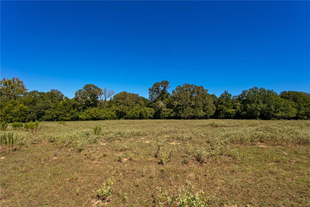 11041 Jackrabbit Lane Bryan, TX 77808 - Photo 29 of 47 a view of an ocean