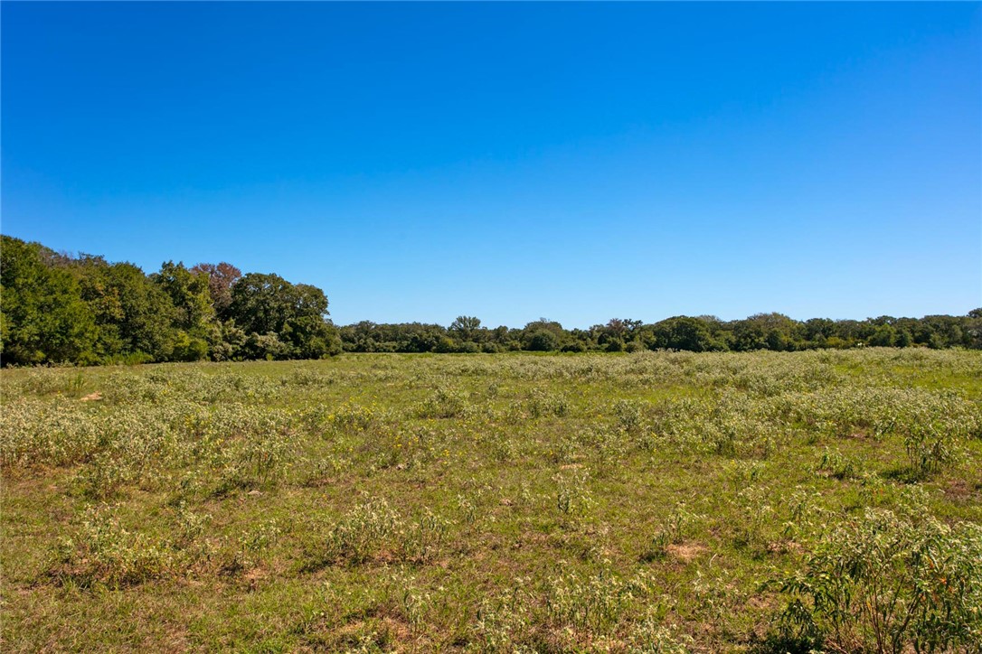 11041 Jackrabbit Lane Bryan, TX 77808 - Photo 30 of 47 a view of lake and mountain