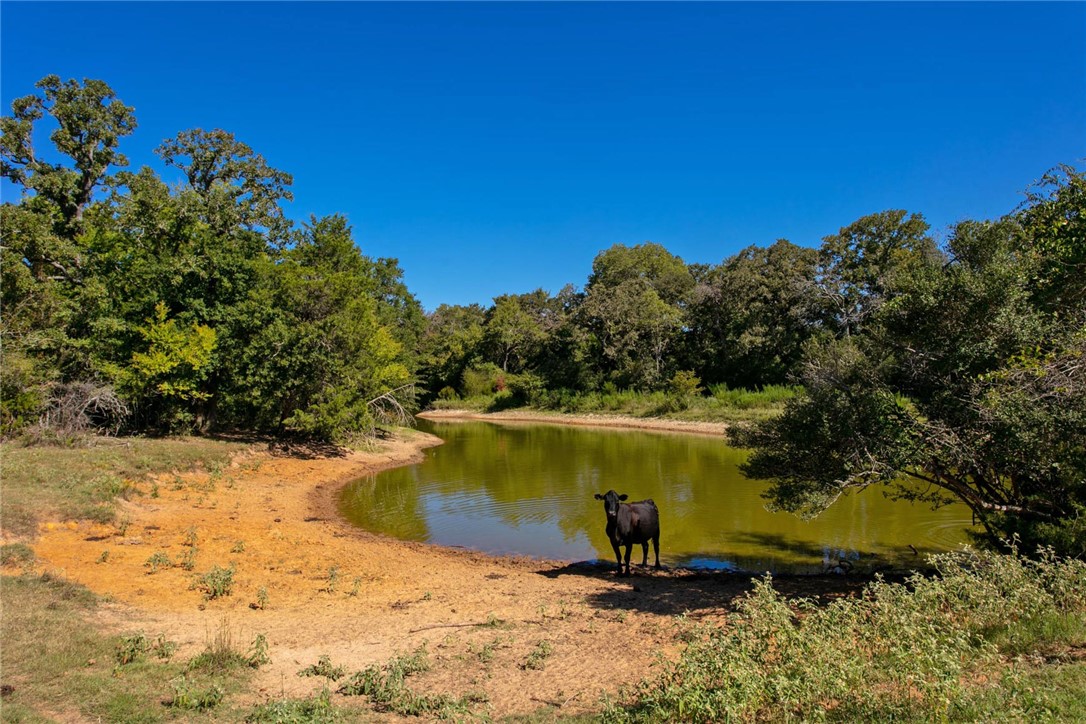 11041 Jackrabbit Lane Bryan, TX 77808 - Photo 3 of 47 a view of a lake view