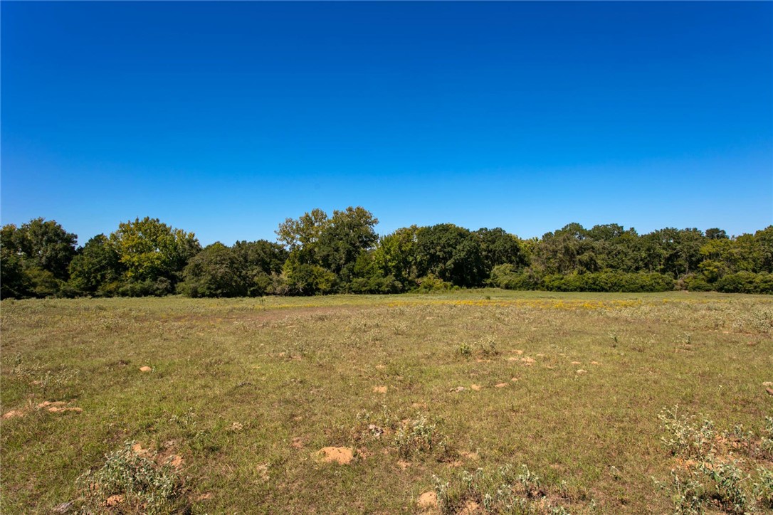 11041 Jackrabbit Lane Bryan, TX 77808 - Photo 31 of 47 a view of an ocean and beach
