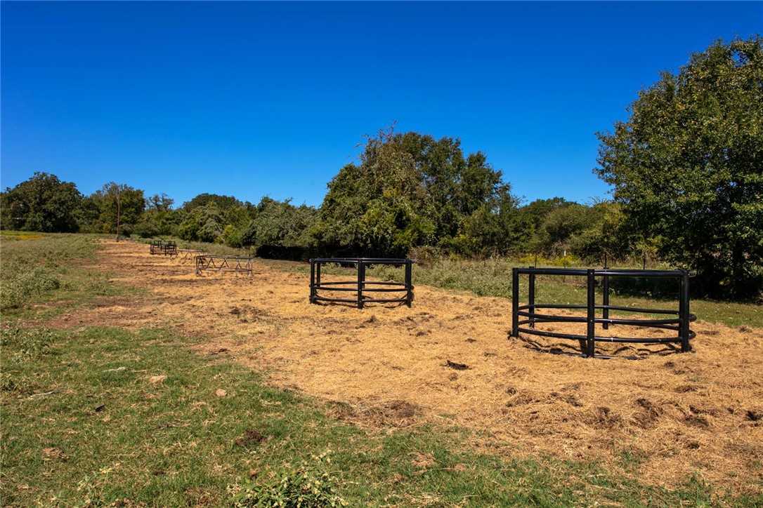 11041 Jackrabbit Lane Bryan, TX 77808 - Photo 32 of 47 a view of outdoor space with seating