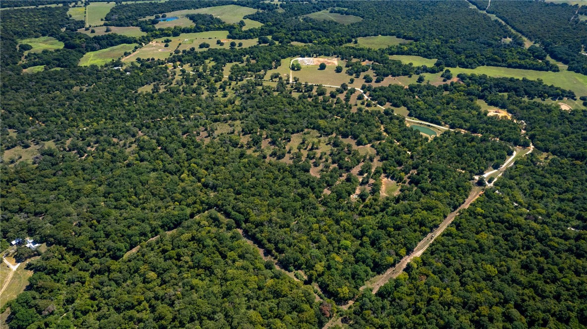 11041 Jackrabbit Lane Bryan, TX 77808 - Photo 40 of 47 a view of a bunch of trees and bushes