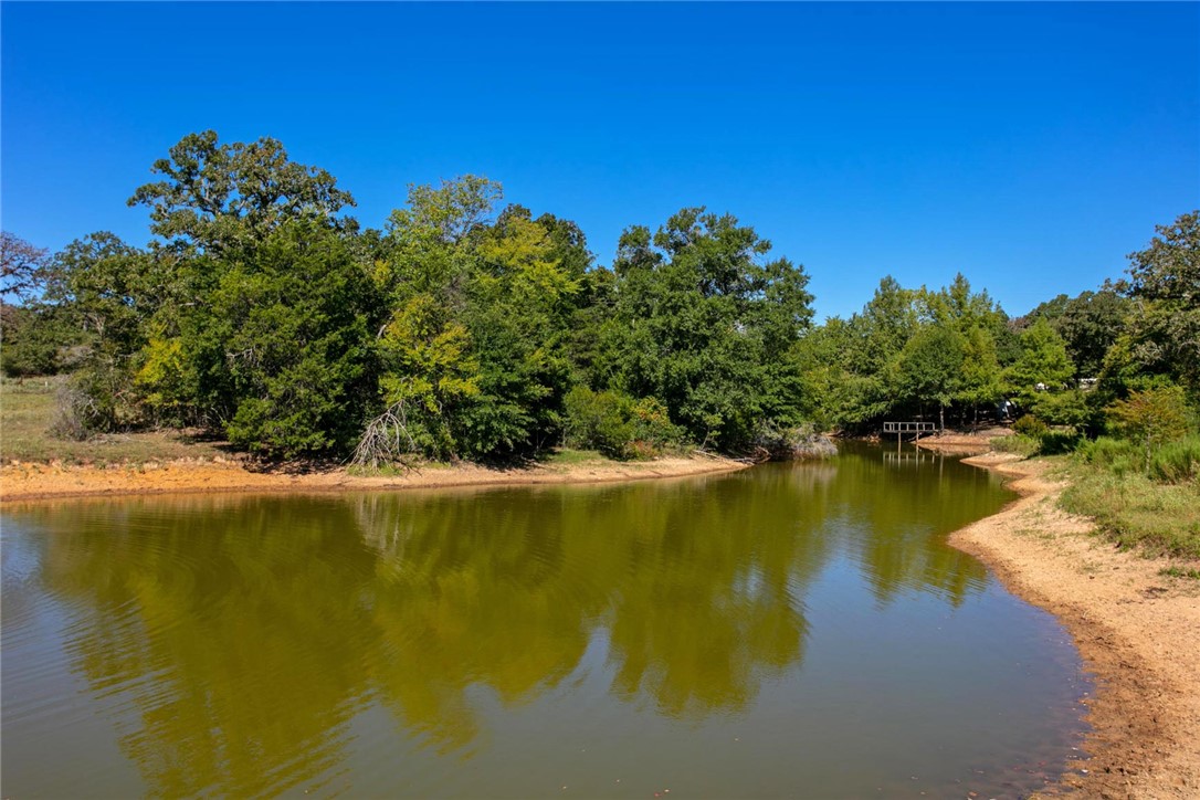 11041 Jackrabbit Lane Bryan, TX 77808 - Photo 4 of 47 a view of a lake view