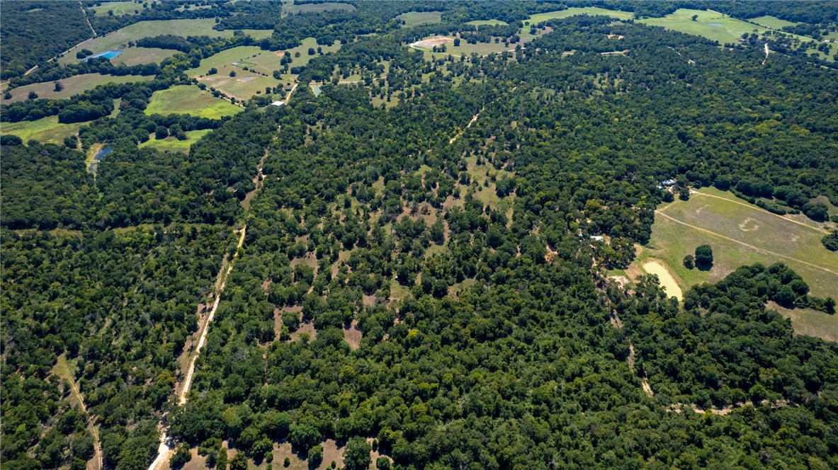 11041 Jackrabbit Lane Bryan, TX 77808 - Photo 41 of 47 an aerial view of residential house with outdoor space and trees all around