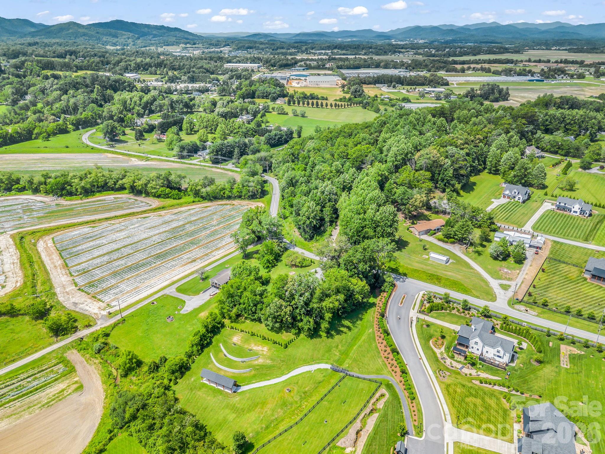 210 Banner Farm Road Mills River, NC 28759 - Photo 47 of 48