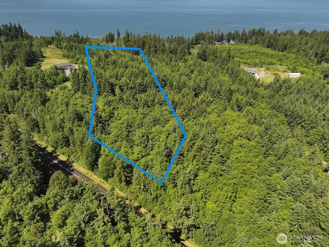 a view of a lush green forest with a lush green forest