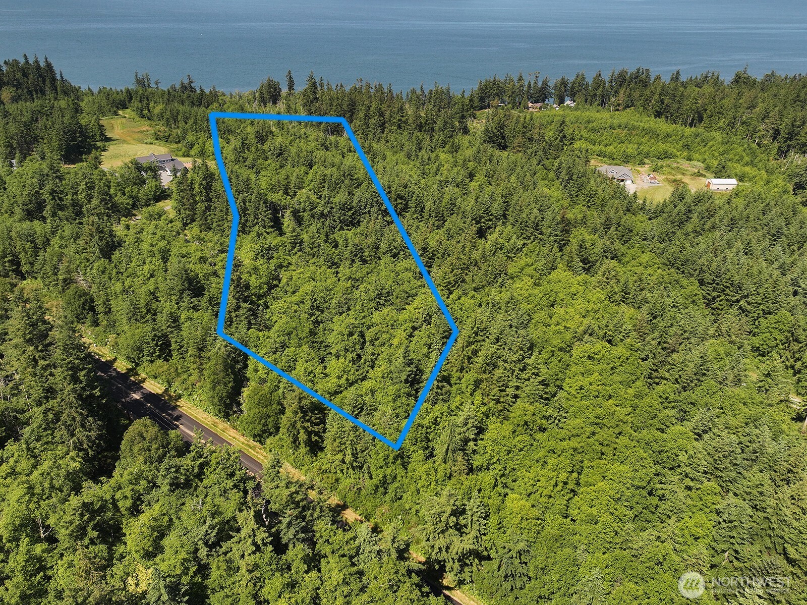 a view of a lush green forest with a lush green forest