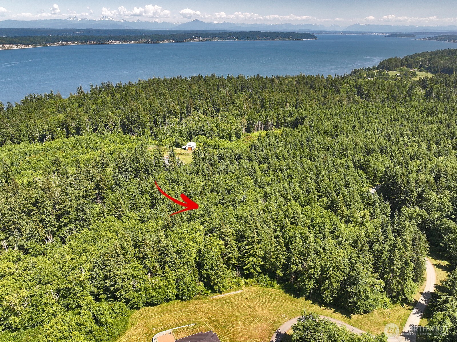 -xxx Xxx Saratoga Ridge Road Langley, WA 98260 - Photo 13 of 24 a view of a yard with an outdoor space