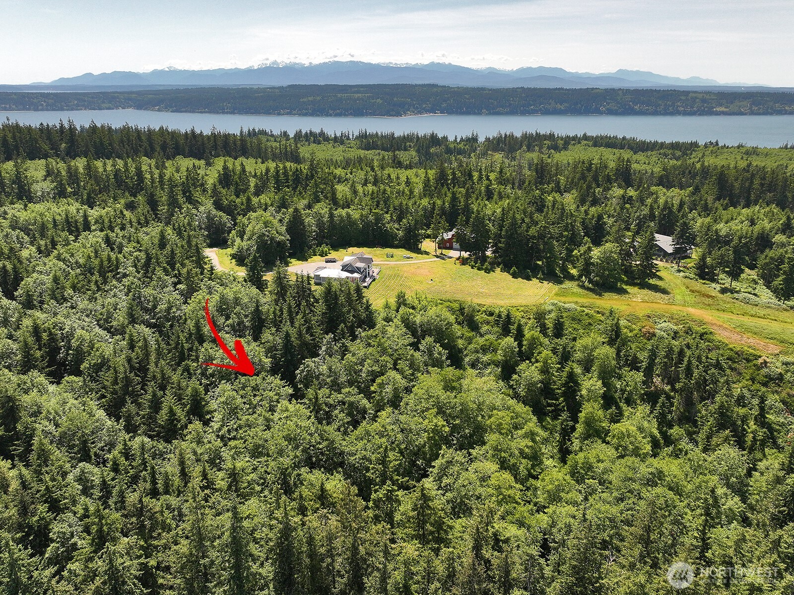 -xxx Xxx Saratoga Ridge Road Langley, WA 98260 - Photo 17 of 24 a view of a yard with an outdoor seating