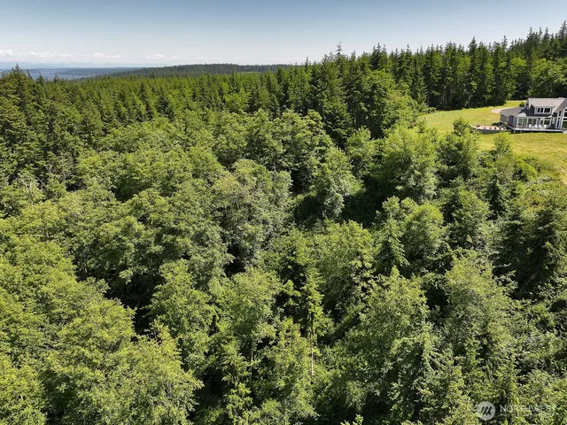 a view of a pathway both side of yard