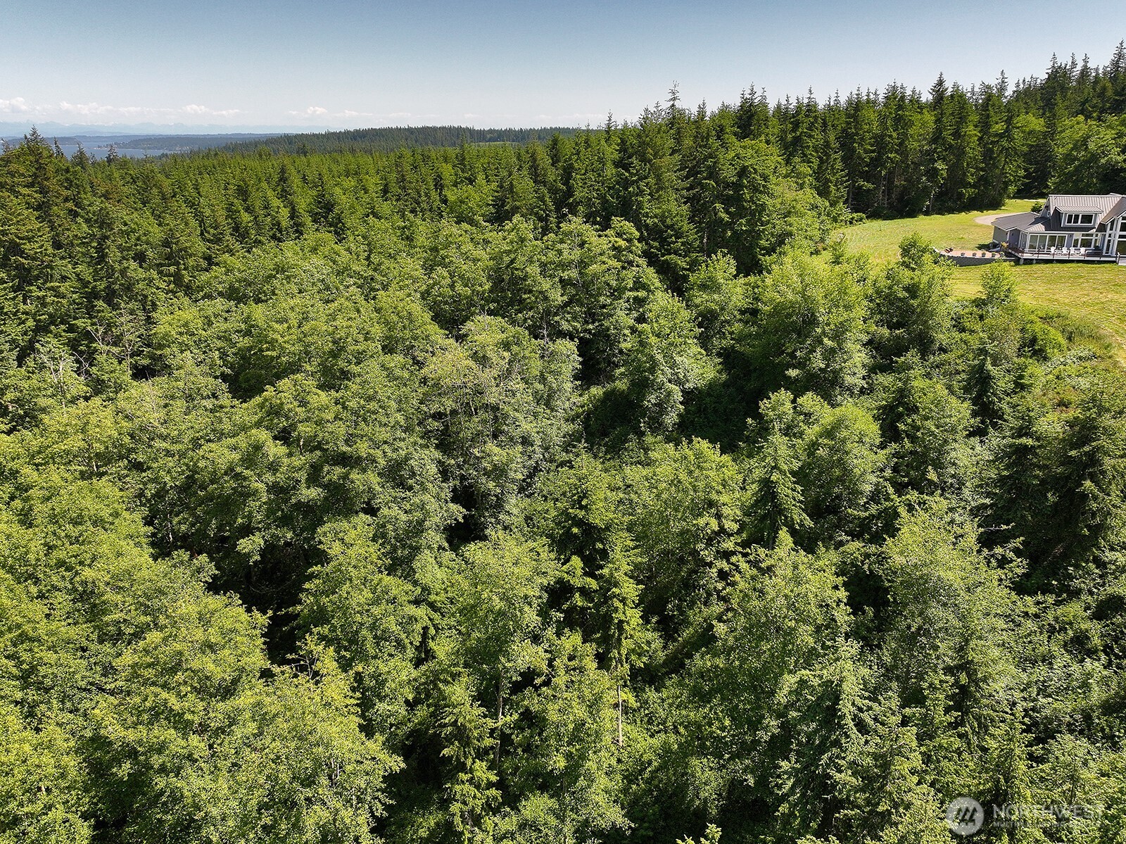 -xxx Xxx Saratoga Ridge Road Langley, WA 98260 - Photo 18 of 24 a view of a yard with a tree