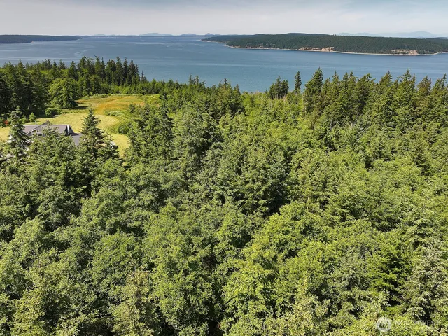 a view of yard with green space