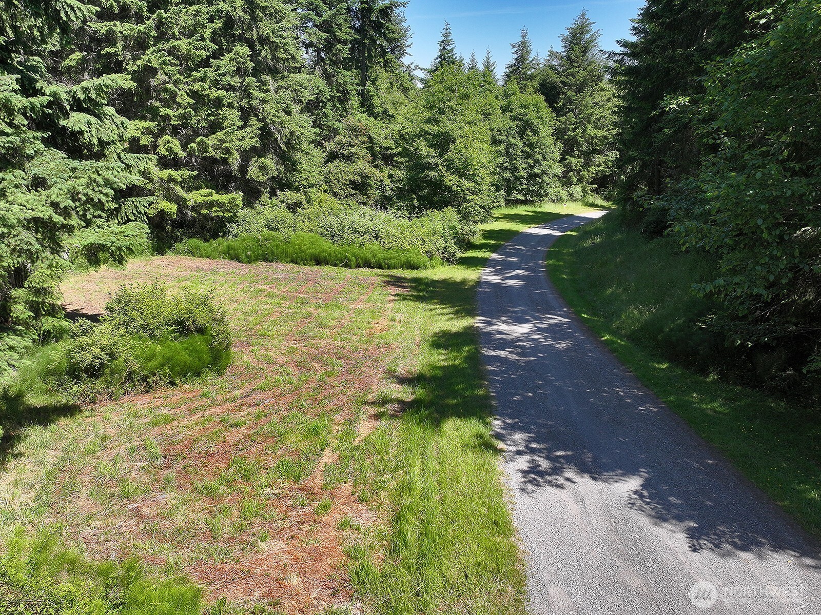 -xxx Xxx Saratoga Ridge Road Langley, WA 98260 - Photo 21 of 24 a view of a pathway both side of yard