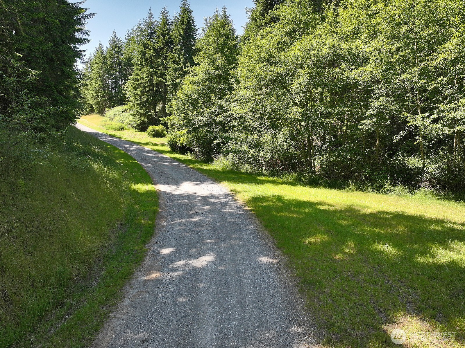 -xxx Xxx Saratoga Ridge Road Langley, WA 98260 - Photo 22 of 24 a view of a yard with plants and large trees
