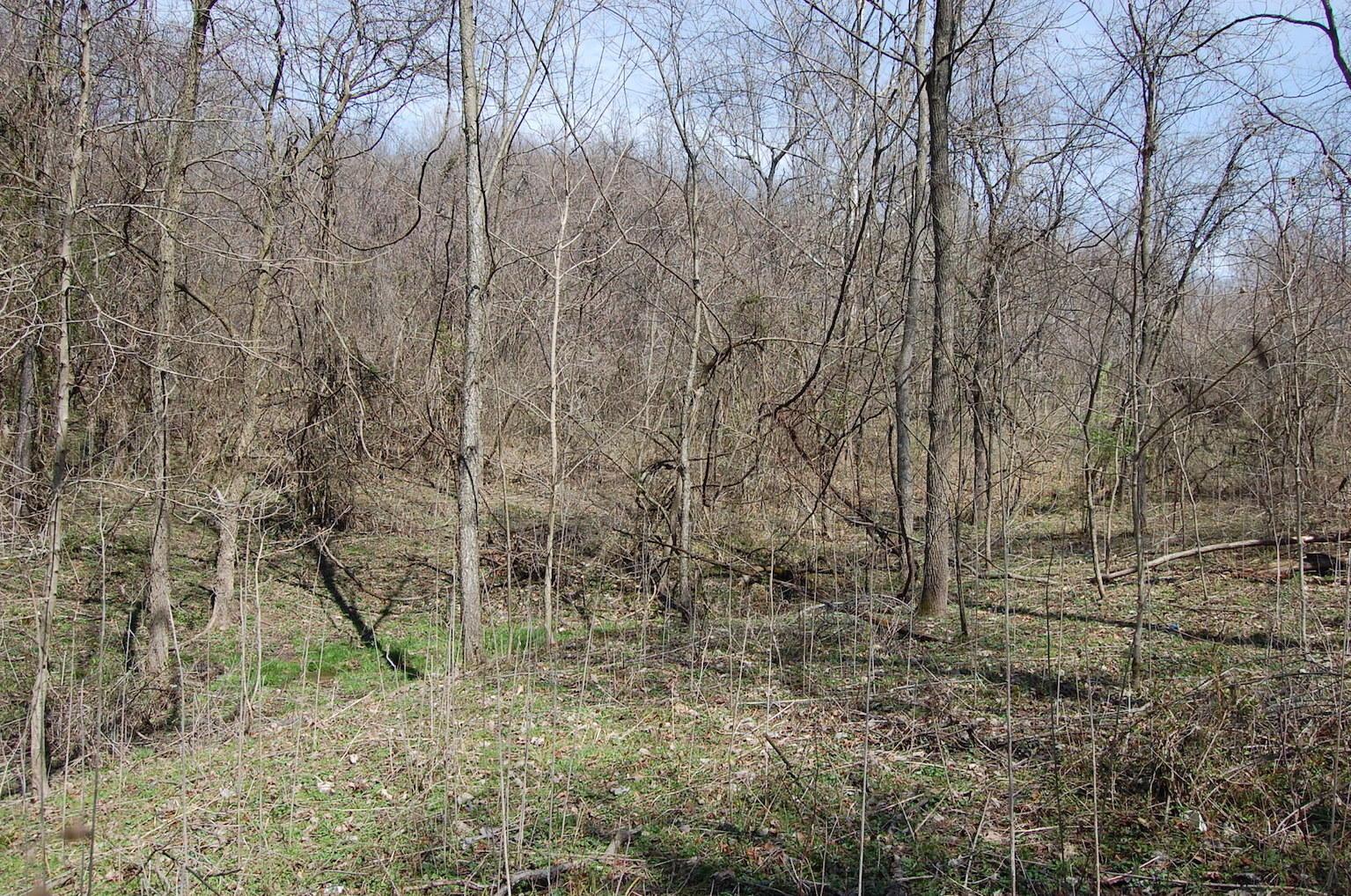 1741 Mingo Road Chillicothe, OH 45601 - Photo 11 of 49 Gallery Image 11