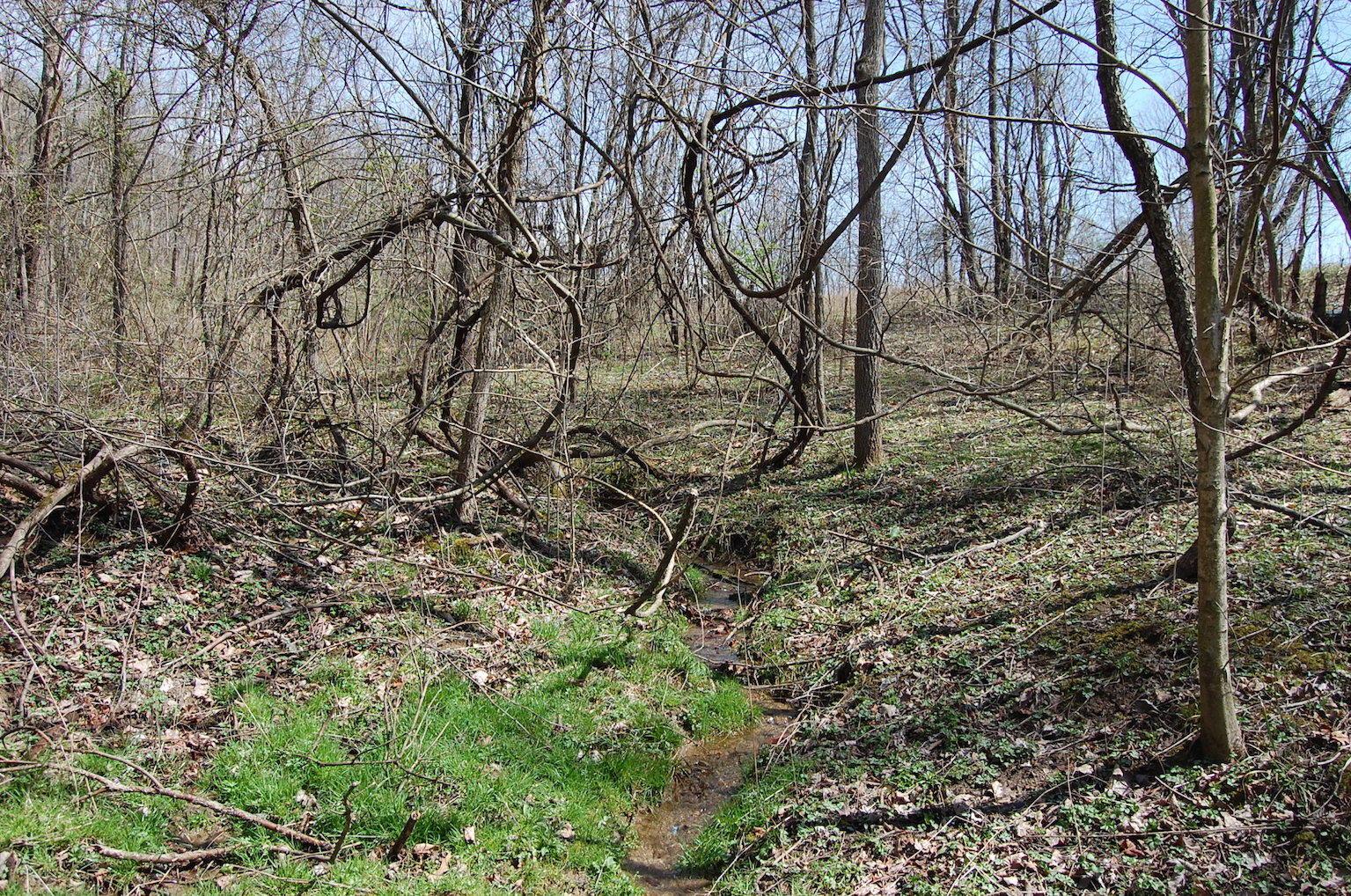 1741 Mingo Road Chillicothe, OH 45601 - Photo 12 of 49 Gallery Image 12