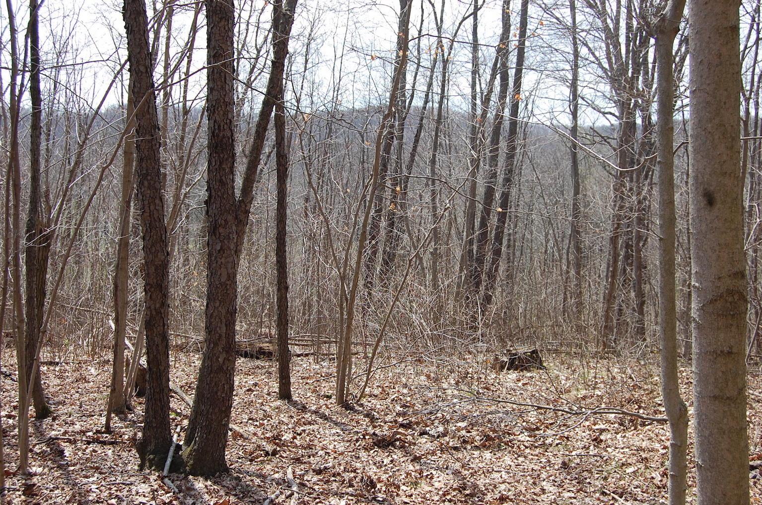 1741 Mingo Road Chillicothe, OH 45601 - Photo 28 of 49 Gallery Image 28