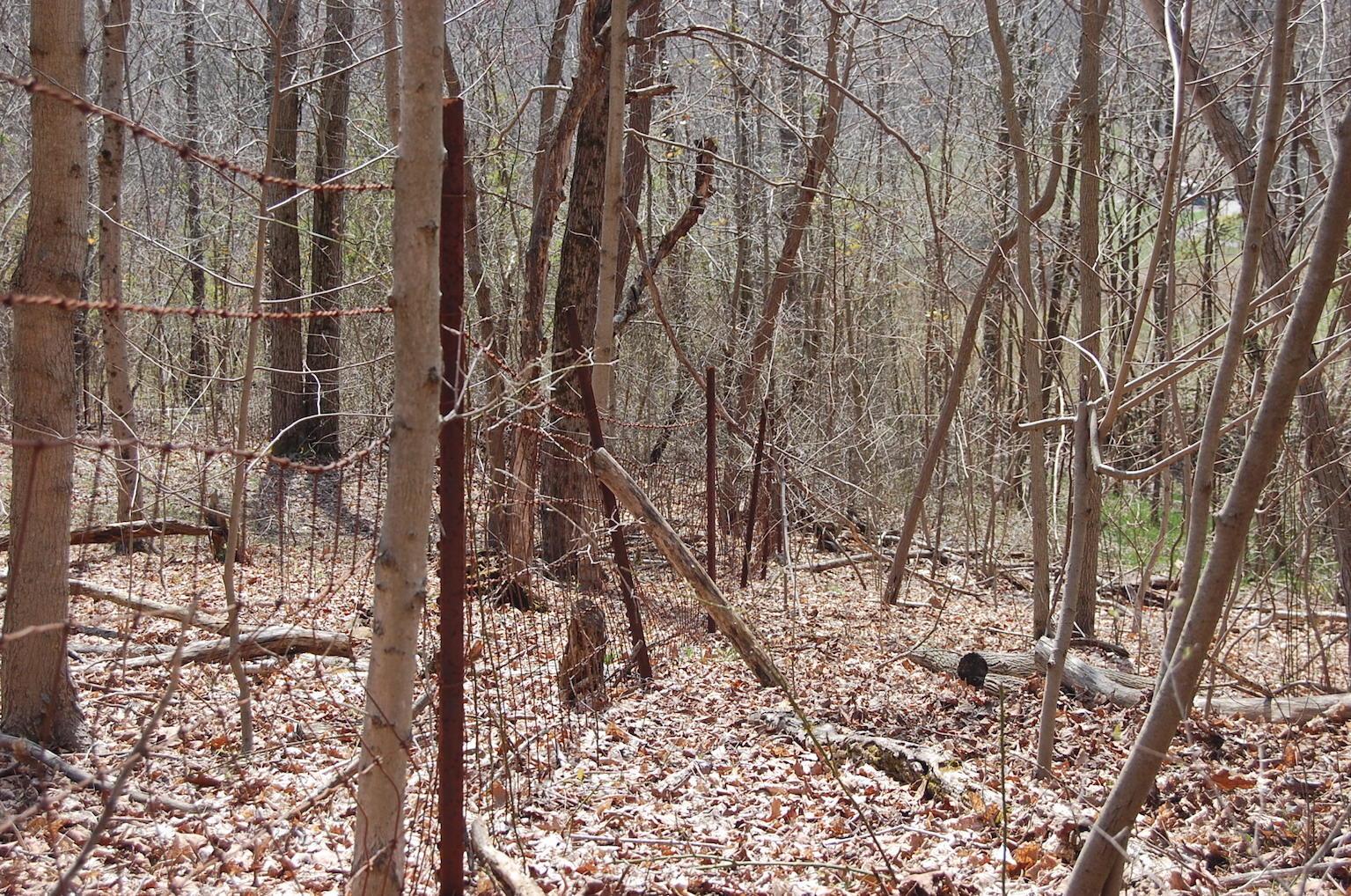 1741 Mingo Road Chillicothe, OH 45601 - Photo 29 of 49 Gallery Image 29
