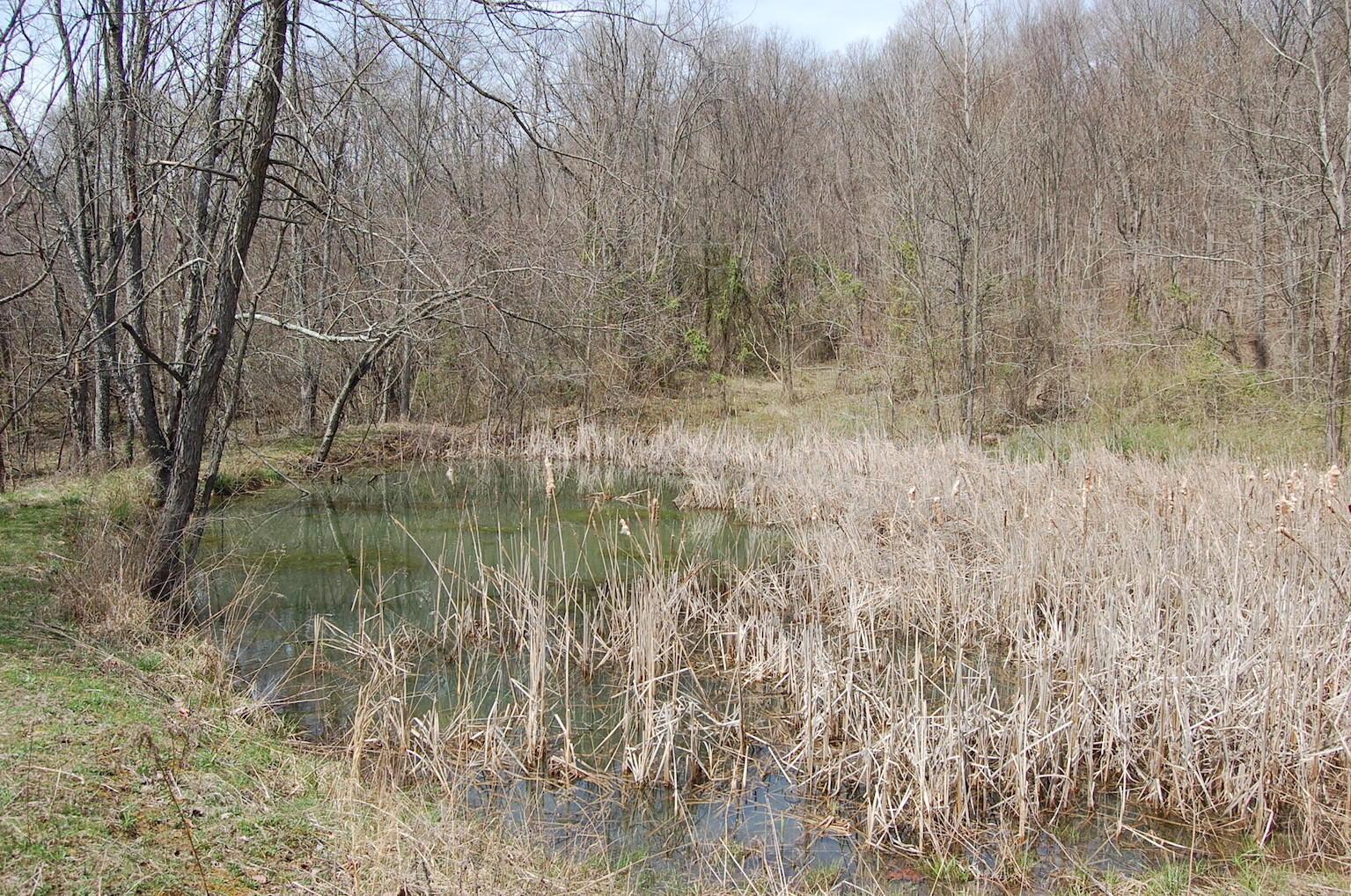 1741 Mingo Road Chillicothe, OH 45601 - Photo 39 of 49 Gallery Image 39