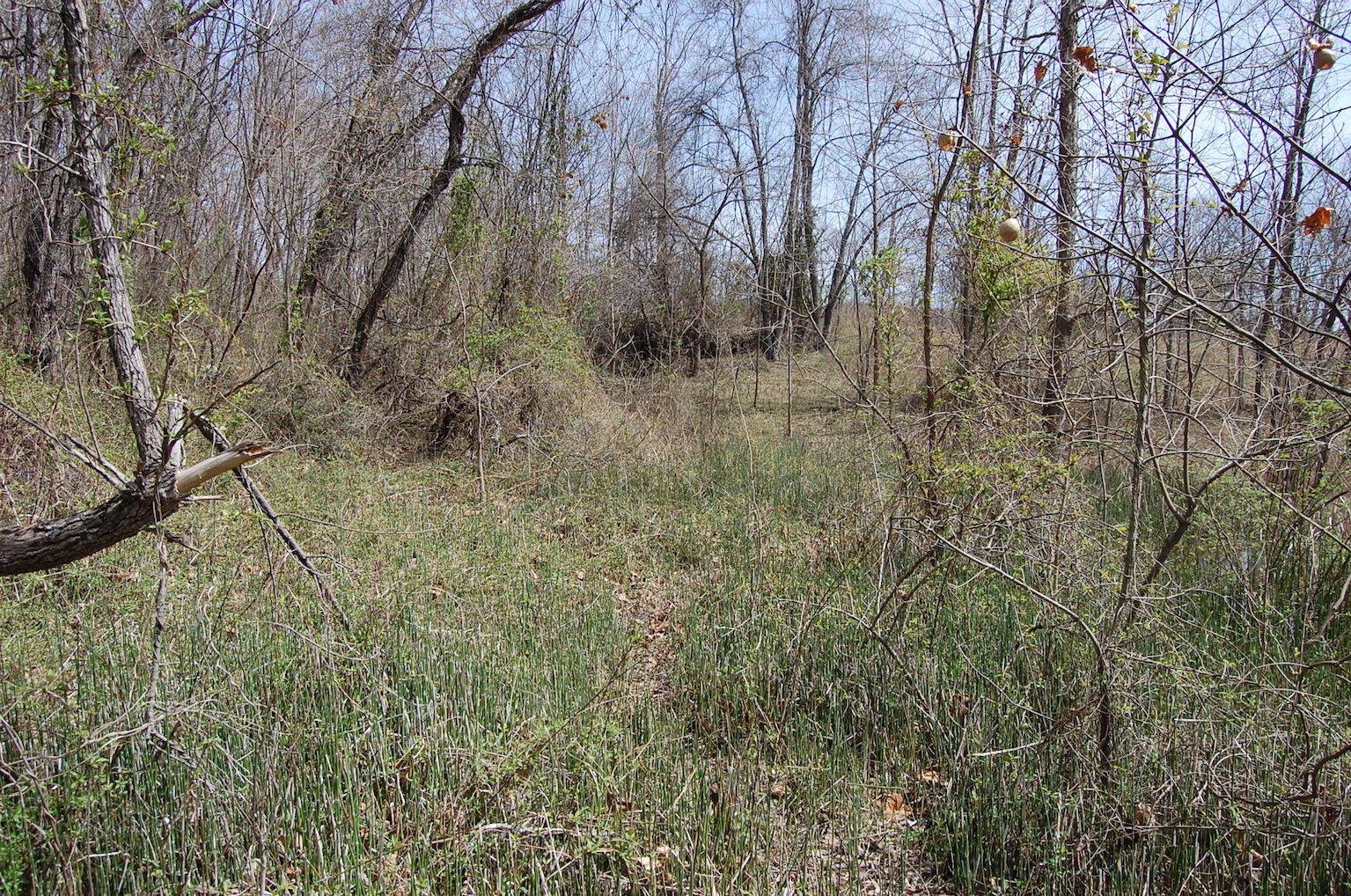 1741 Mingo Road Chillicothe, OH 45601 - Photo 40 of 49 Gallery Image 40