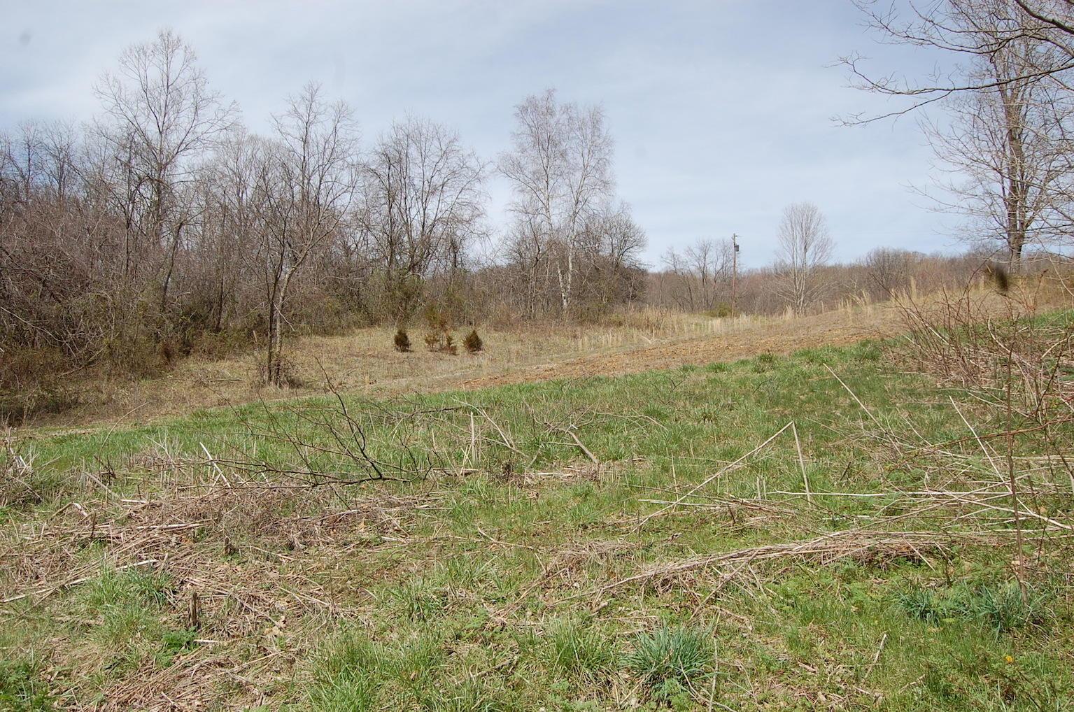 1741 Mingo Road Chillicothe, OH 45601 - Photo 47 of 49 Gallery Image 47