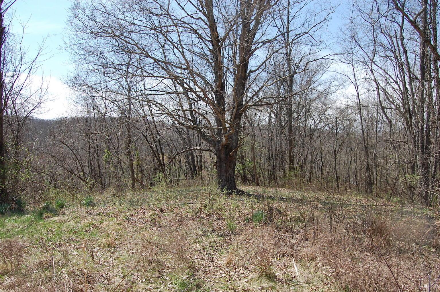 1741 Mingo Road Chillicothe, OH 45601 - Photo 5 of 49 Gallery Image 5