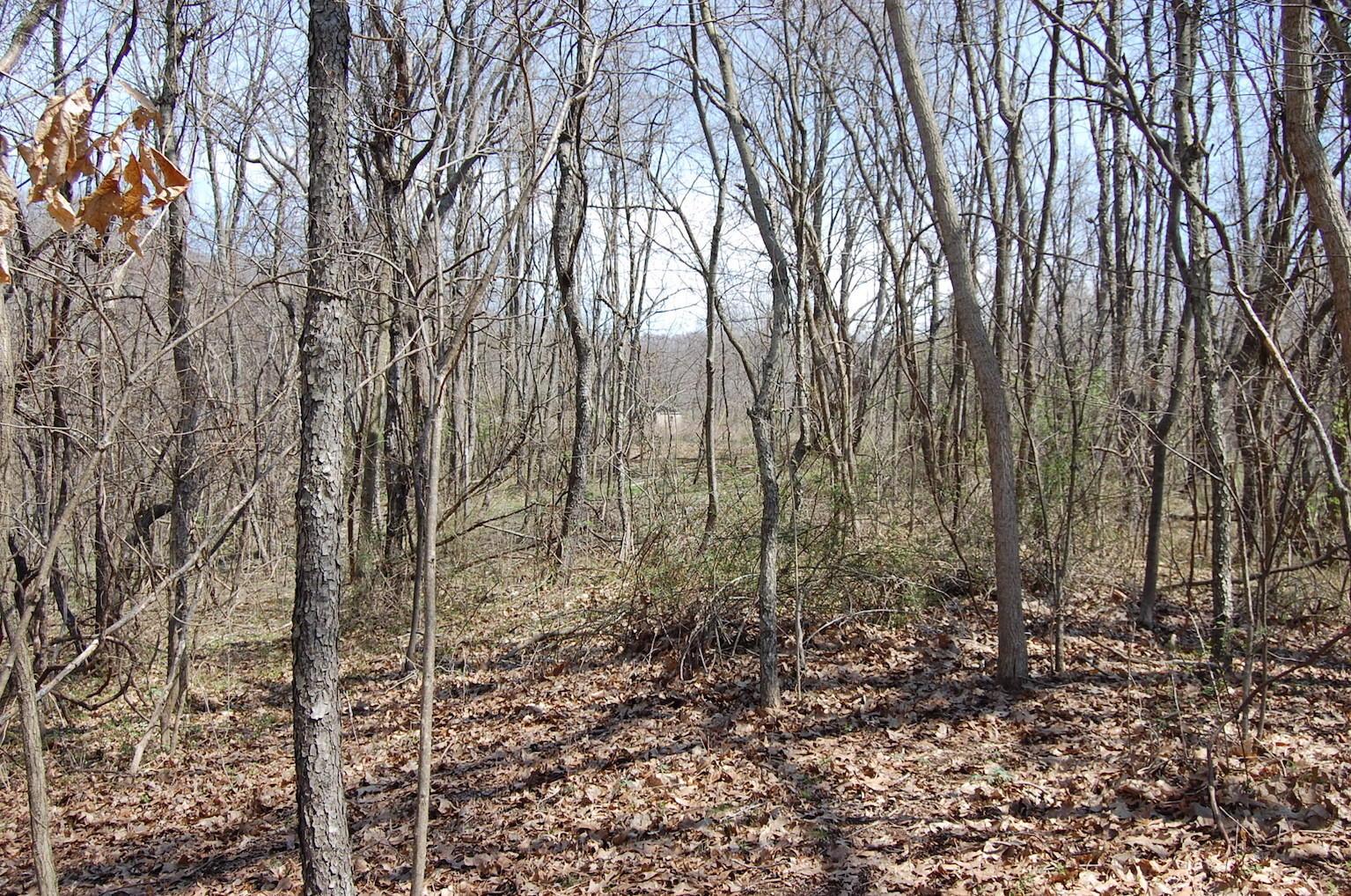 1741 Mingo Road Chillicothe, OH 45601 - Photo 8 of 49 Gallery Image 8