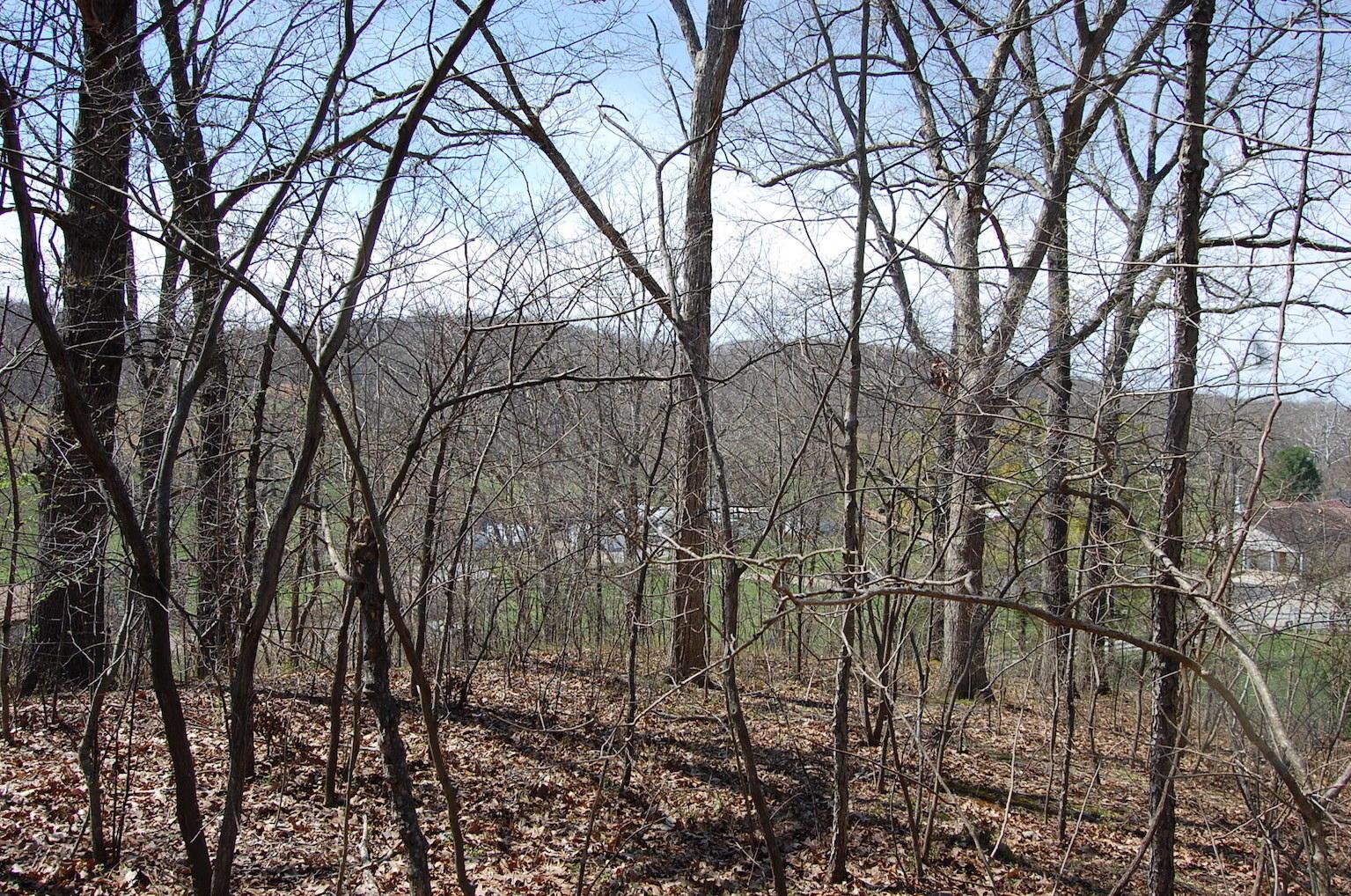 1741 Mingo Road Chillicothe, OH 45601 - Photo 9 of 49 Gallery Image 9