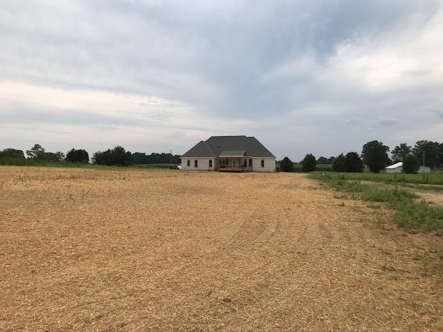 PIC FROM BACK OF PROPERTY!