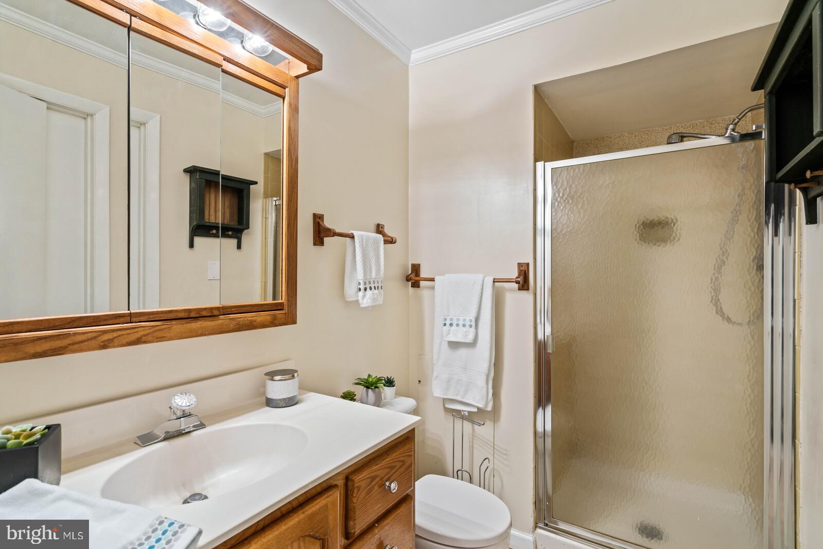 6580 Davis Ford Road Manassas, VA 20111 - Photo 26 of 38 Full bath in basement.