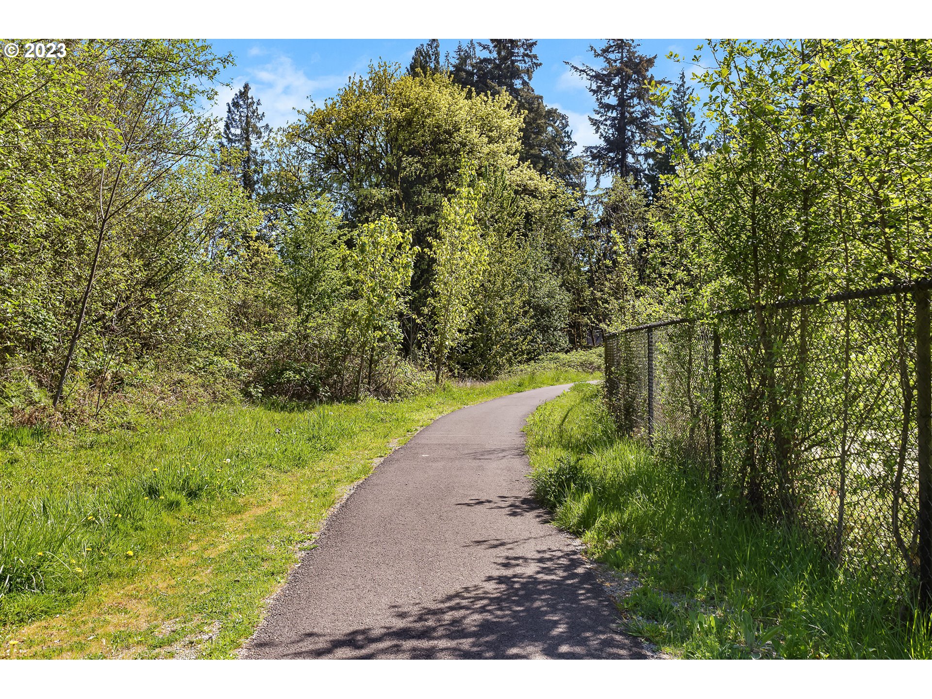 7127 South 13th Street Ridgefield, WA 98642 - Photo 29 of 40 a view of a yard with plants and large trees