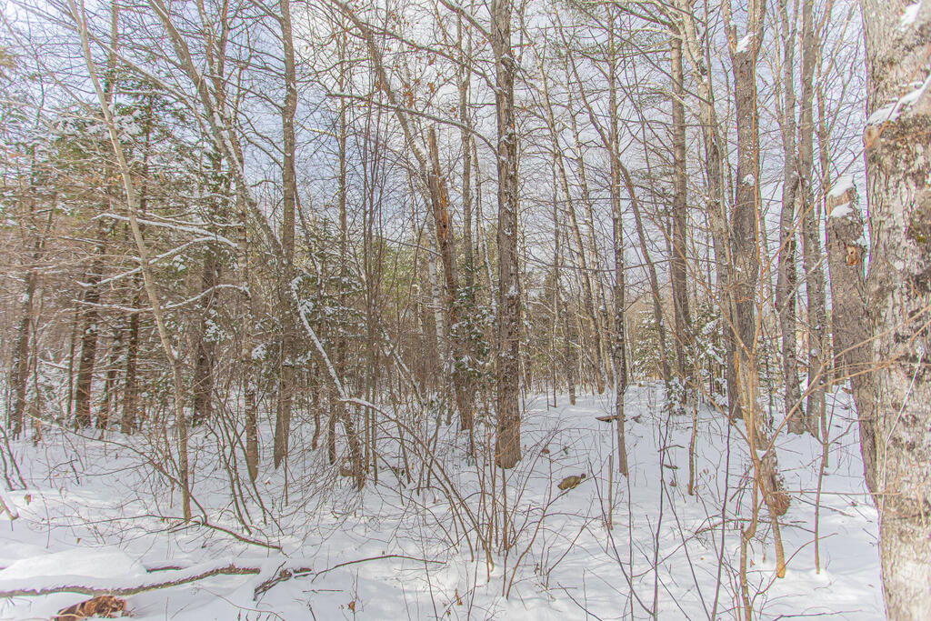 49 Reed's Mill Road Madrid Township, ME 04966 - Photo 20 of 34 sandy-river-realty-29