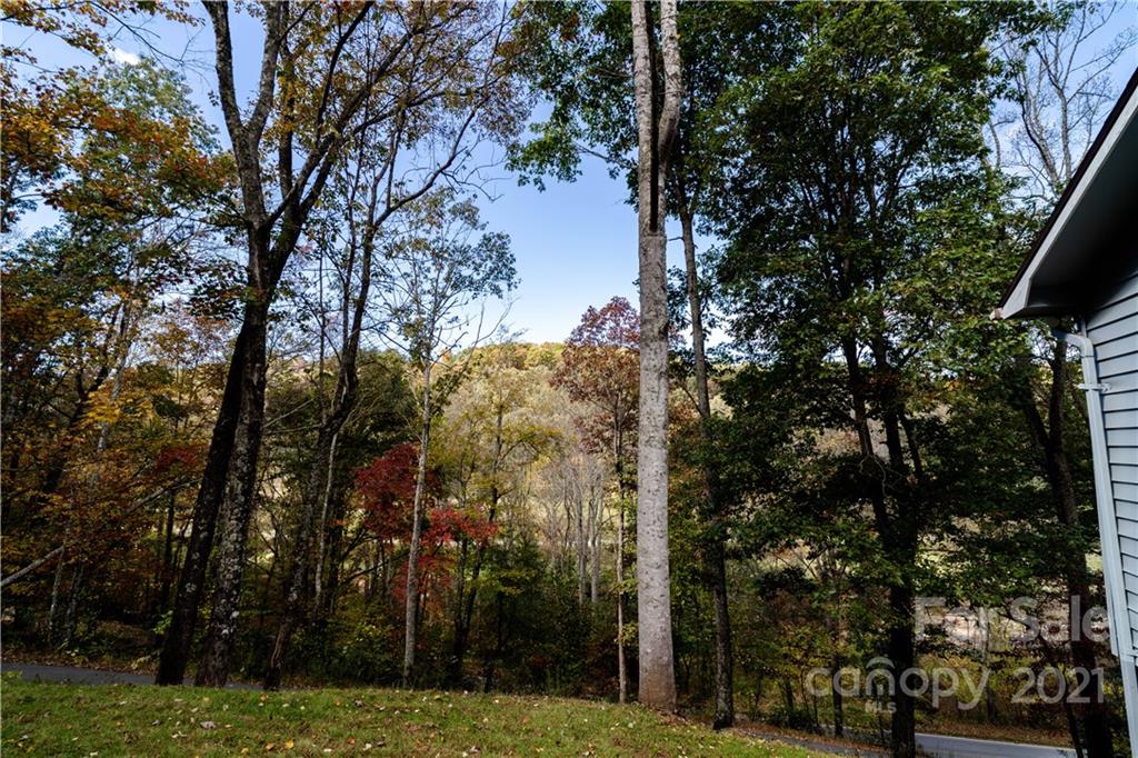 352 Bennett Road Candler, NC 28715 - Photo 32 of 32 Gallery Image 32