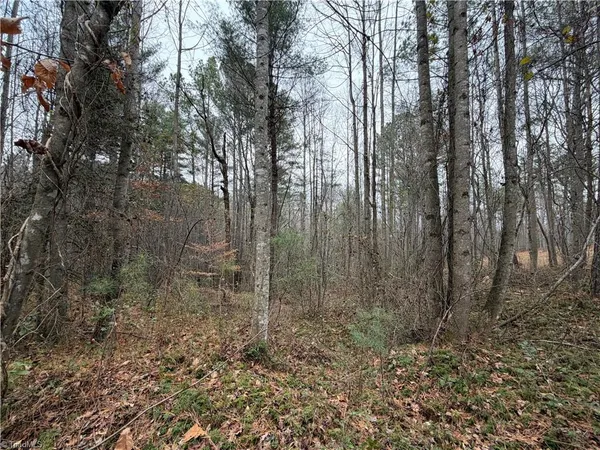$34,900 | Tbd Shumate Mountain Road, Hays, NC 28635