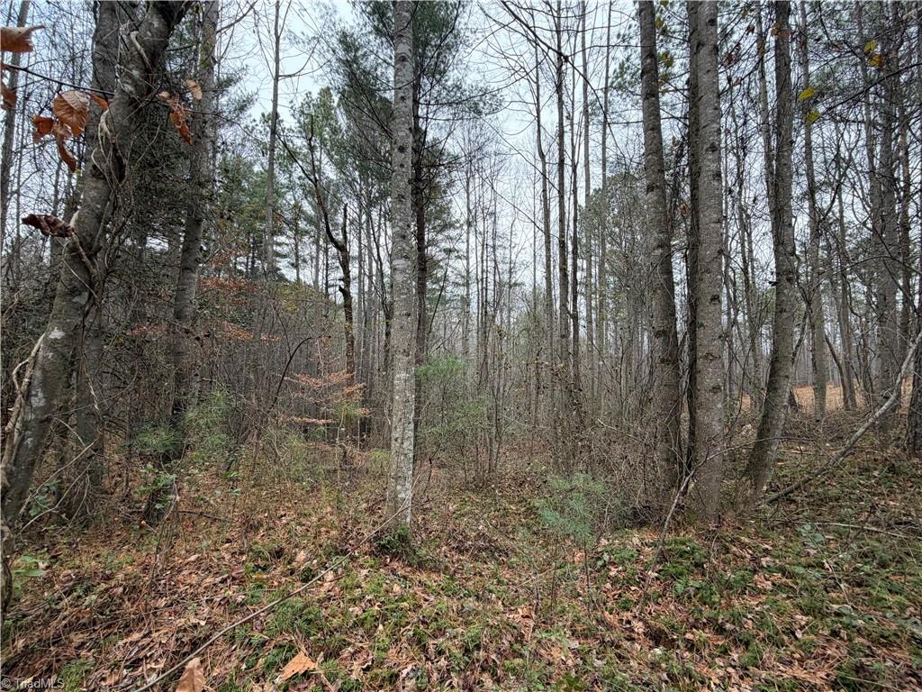 Tbd Shumate Mountain Road Hays, NC 28635 - Photo 13 of 15