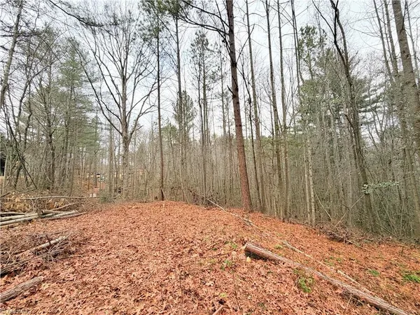 $34,900 | Tbd Shumate Mountain Road, Hays, NC 28635