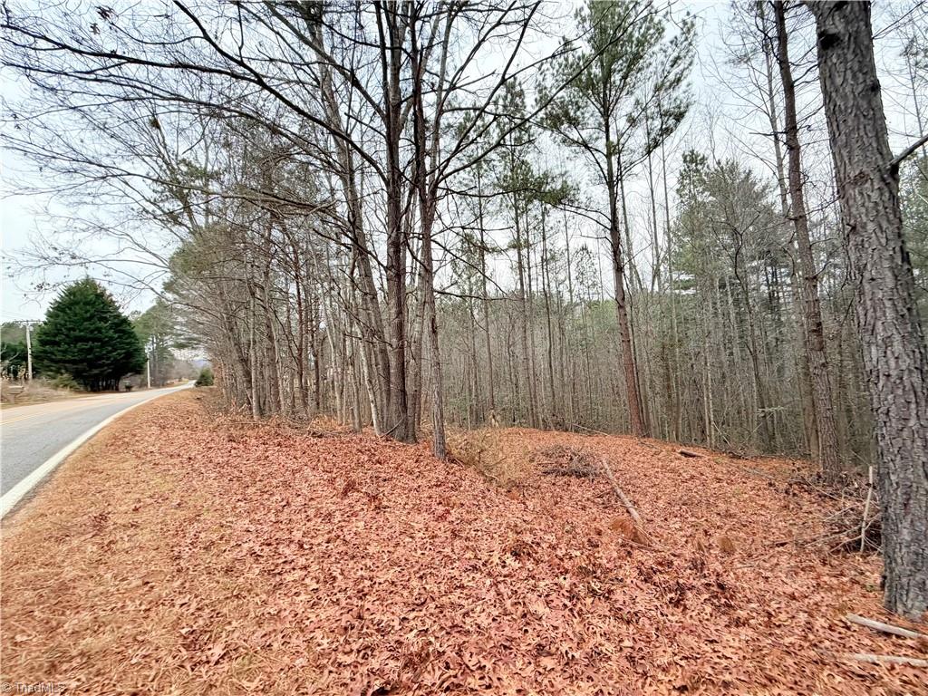 Tbd Shumate Mountain Road Hays, NC 28635 - Photo 4 of 15