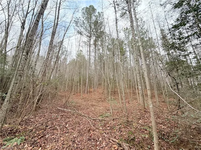 $34,900 | Tbd Shumate Mountain Road, Hays, NC 28635