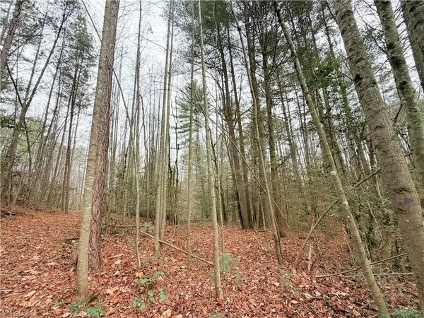 $34,900 | Tbd Shumate Mountain Road, Hays, NC 28635