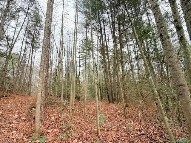 $34,900 | Tbd Shumate Mountain Road, Hays, NC 28635