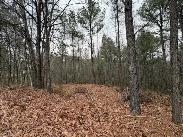$34,900 | Tbd Shumate Mountain Road, Hays, NC 28635