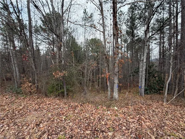 $34,900 | Tbd Shumate Mountain Road, Hays, NC 28635