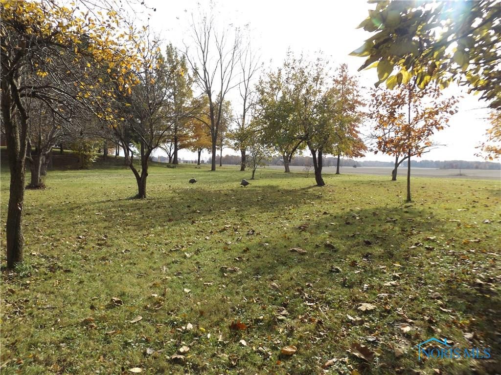 7900 Tom Fett Road Bluffton, OH 45817 - Photo 17 of 22 Gallery Image 17
