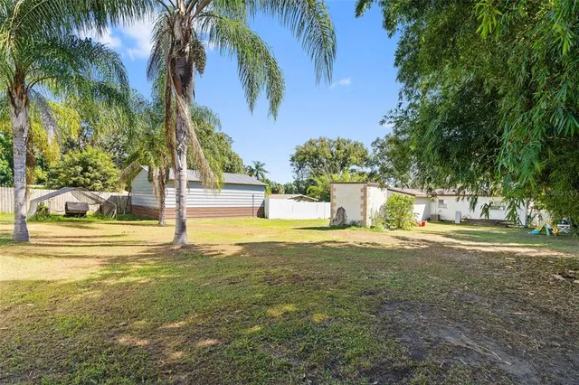 a view of a yard with palm trees