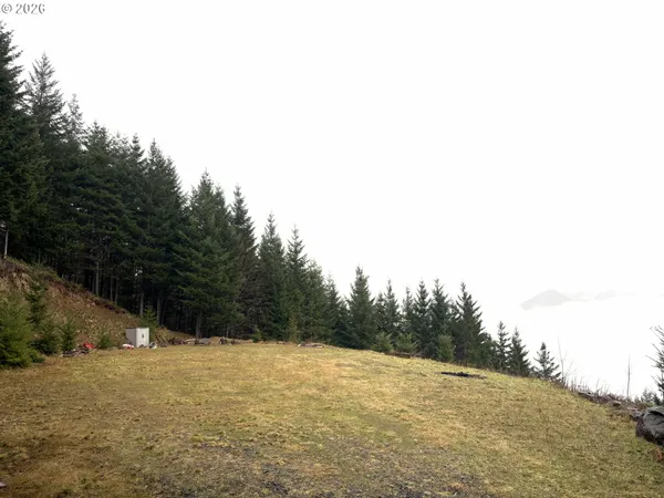 $225,000 | 1844 Knights Bridge Road, Amboy, WA 98601
