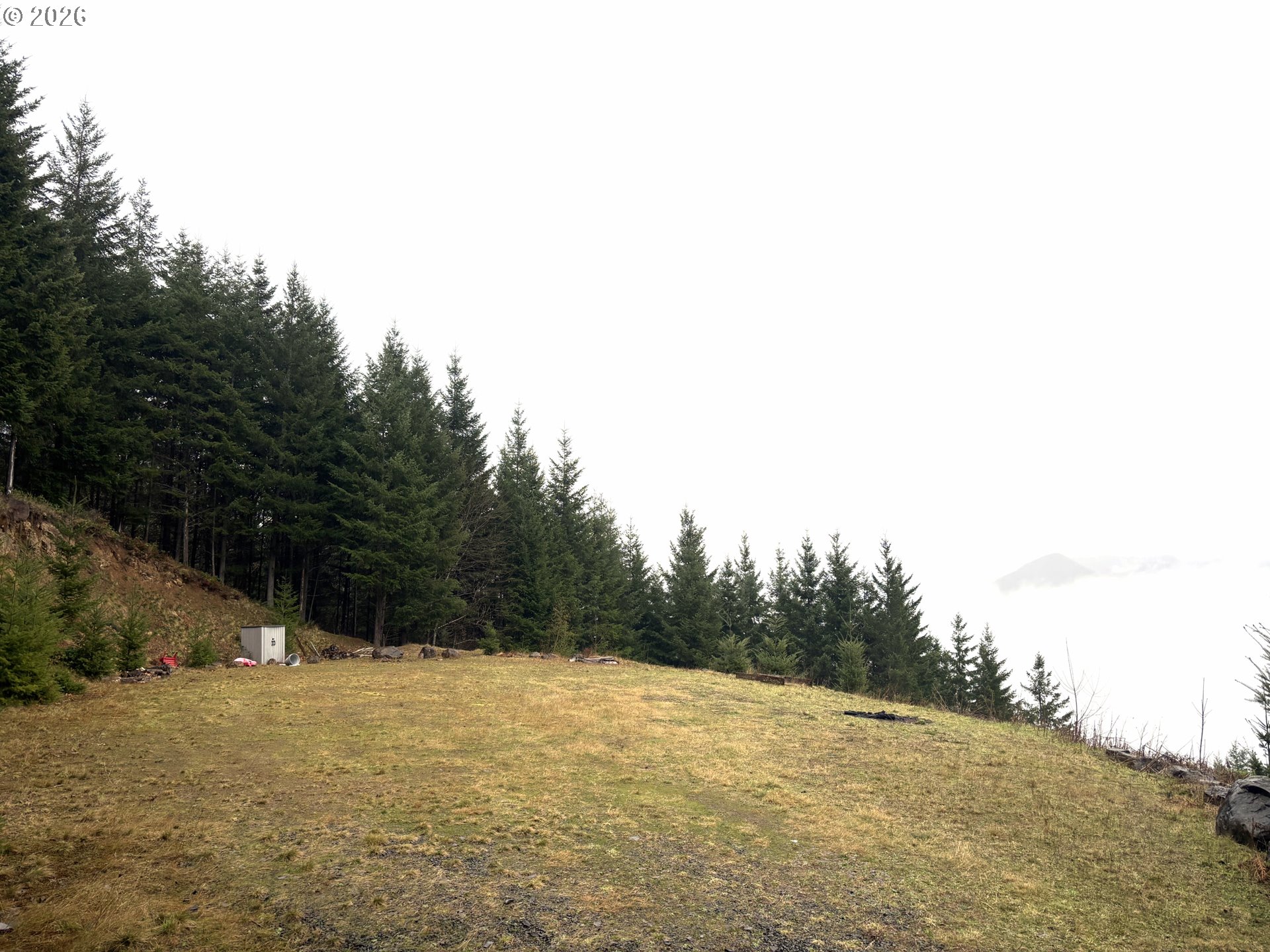 1844 Knights Bridge Road Amboy, WA 98601 - Photo 11 of 32