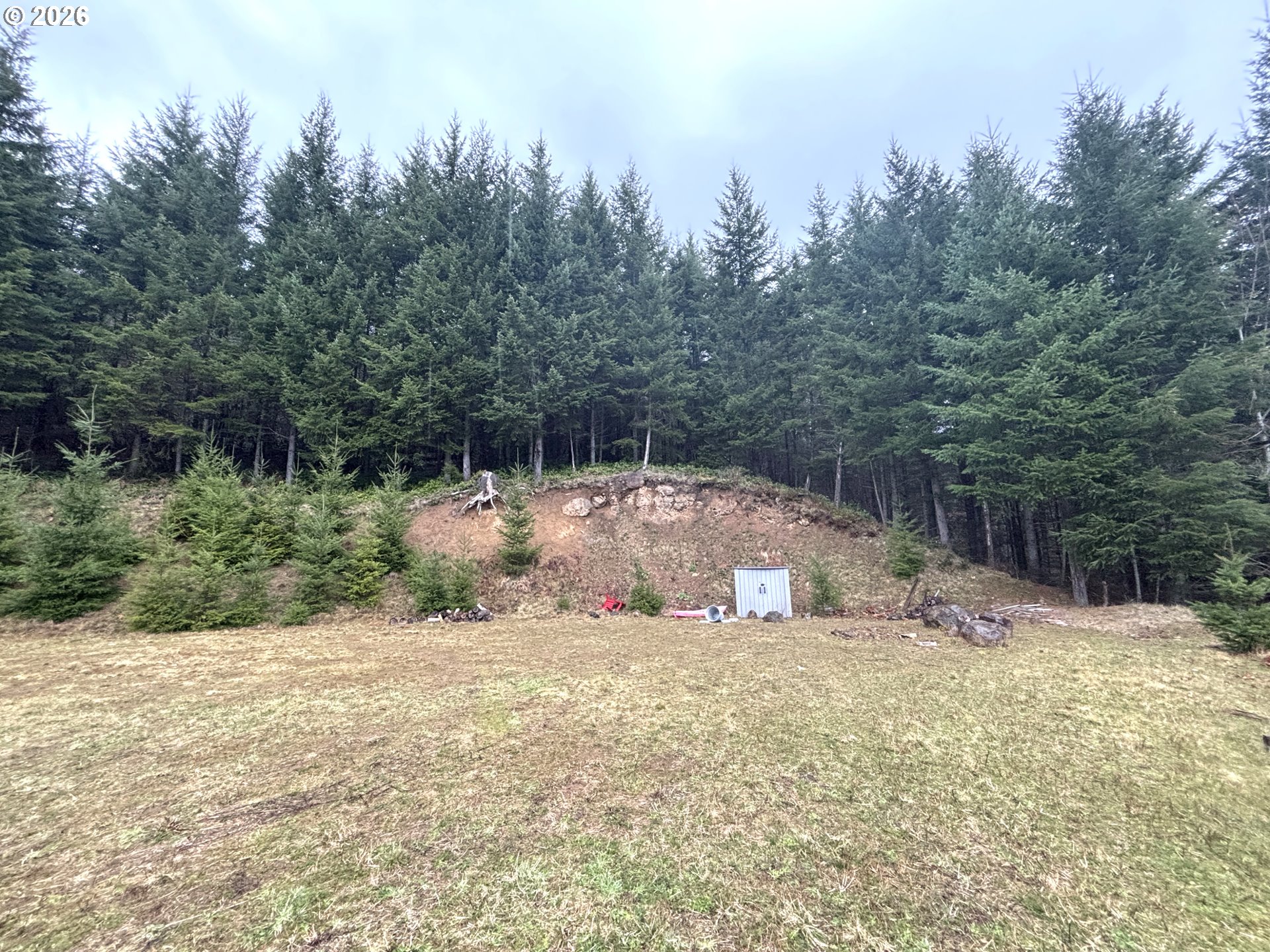 1844 Knights Bridge Road Amboy, WA 98601 - Photo 12 of 32