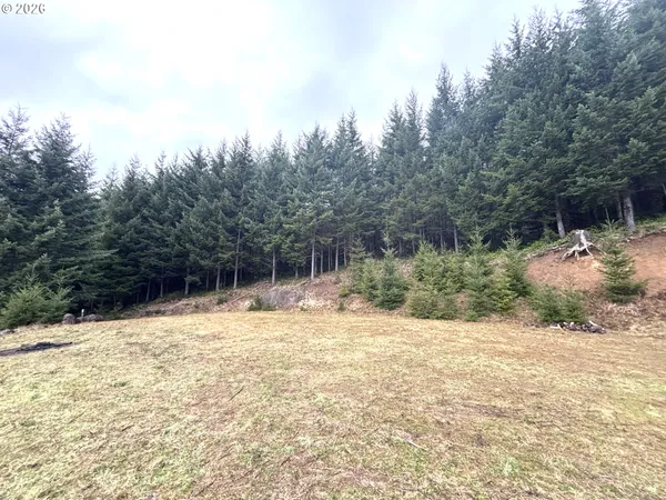 $225,000 | 1844 Knights Bridge Road, Amboy, WA 98601