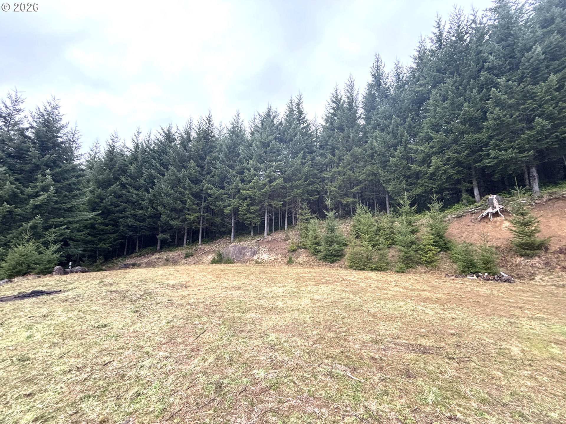 1844 Knights Bridge Road Amboy, WA 98601 - Photo 14 of 32